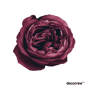 Painted Peony 10 Wall Sticker